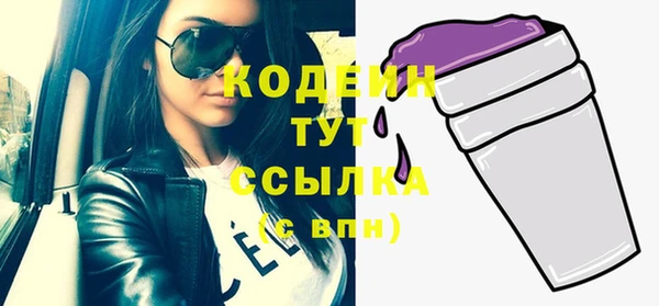 МДПВ Семилуки
