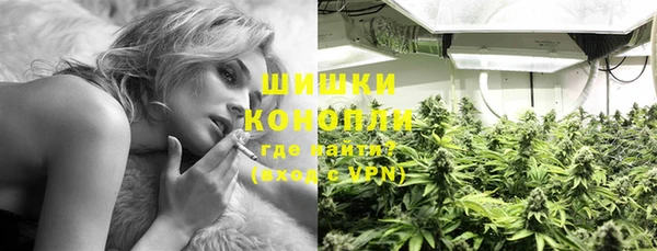 МДПВ Семилуки