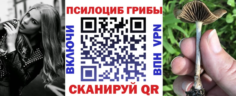 Псилоцибиновые грибы Psilocybine cubensis  Тарко-Сале 